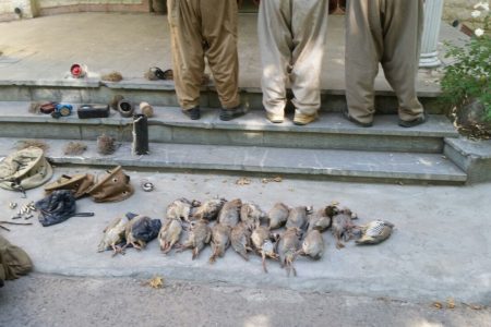 دستگیری ۶ نفر شکارچی غیر مجاز در اسکو
