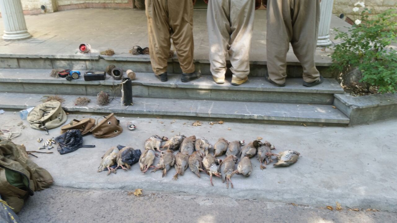 دستگیری ۶نفر شکارچی غیر مجاز در اسکو