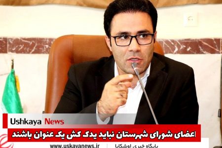 اعضای شورای شهرستان نباید یدک کش یک عنوان باشند