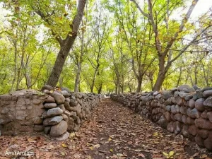 طبیعت زیبای پاییزی کوچه باغات اسکو