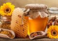 جایگاه سوم تولید عسل ایران در دنیا/ عسل ایرانی به ۲۲ کشور جهان صادر می شود
