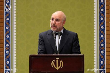 رئيس مجلس از واگذاري ‌شاسي‌ بلندها‌ خبر داشت