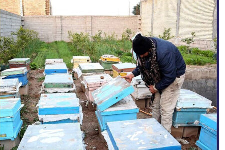 مهاجرت معکوس ۶ هزار و ۲۵۰ خانواده به روستاهای کشور