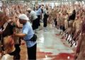 گوشت‌های قربانی‌شده توسط حجاج به ایران نمی‌آید