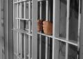 ۶ ماه زندان برای قصاب متخلف در شهرستان  اسکو (شهرسهند)