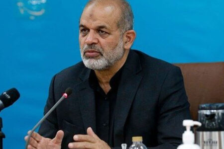 وحیدی: گذرنامه خاص برای سفر اربعین صادر می‌شود