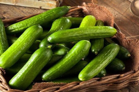 خواص خیار در شب