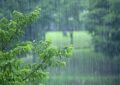 باد، باران و نوسانات دمایی در سطح کشور باد، باران و نوسانات دمایی در سطح کشور