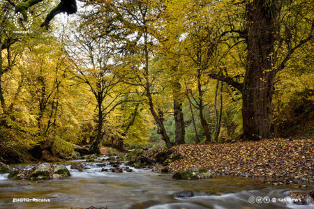 شیوع افسردگی فصلی در پاییز/ شیدایی یک حالت از افسردگی است