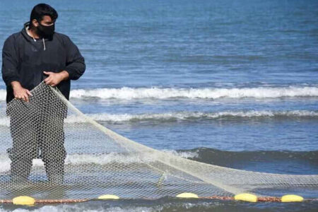 مصرف ماهی، سرمایه گذاری برای سلامتی است