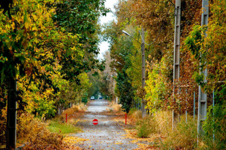 رئیس مرکز ملی پیش‌بینی و مدیریت بحران مخاطرات وضع هوا از ورود سامانه بارشی به کشور طی فردا(۲۴ مهرماه) و وزش باد شدید در برخی استان‌ها خبر داد.