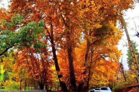 هوای بارانی ۱۲ استان کشور طی امروز/ کاهش دمای نوار شمالی در روز جمعه