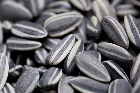 فرمانده انتظامی استان یزد گفت: امسال با هدف کاهش سوانح رانندگی در جاده‌های برون‌شهری این استان که اغلب به دلیل خواب‌آلودگی رخ می‌دهد، ۲ تن تخمه شور در میان رانندگان این مسیرها توزیع شد.