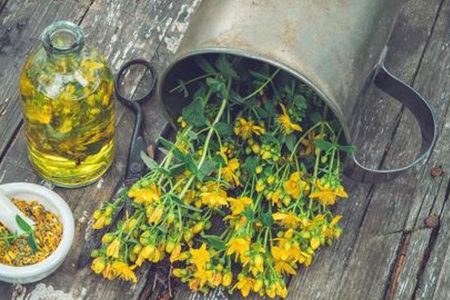 گل راعی؛ مشهور به درمانگر افسردگی