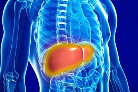 این ویتامین از ابتلا به کبد چرب جلوگیری می‌کند.