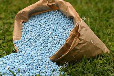 مدیر شرکت خدمات حمایتی کشاورزی آذربایجان شرقی از افزایش چهار هزارتنی توزیع کود یارانه ای در سه ماهه نخست سال جاری نسبت به دوره مشابه سال گذشته در استان خبر داد.