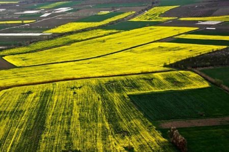 شیوه‌نامه ارائه خدمات زمین در محدوده شهرها و روستاها ابلاغ شد