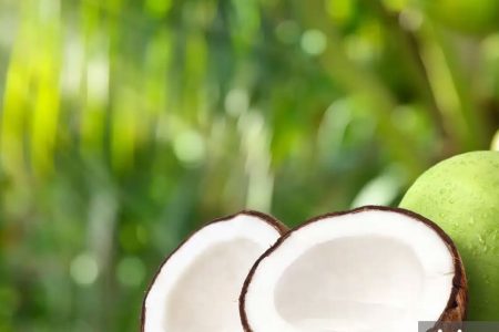۱۵ خاصیت شگفت‌انگیز نارگیل تازه که متخصصان تغذیه تایید کرده‌اند