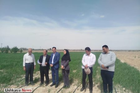 تحویل موقت طرح آبیاری تلفیقی در اراضی ایلخچی شهرستان اسکو