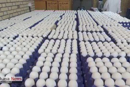 روند کاهشی قیمت تخم‌مرغ در بازار