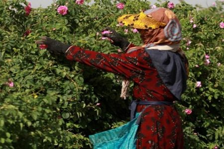 تخصیص تسهیلات به صندوق‌های خرد زنان روستایی در اسکو