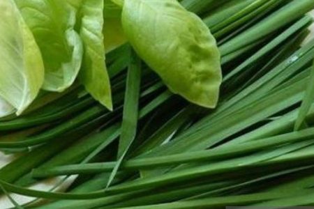 تره، قند بالایی ندارد و برای دیابتی‌ها ممنوع نیست