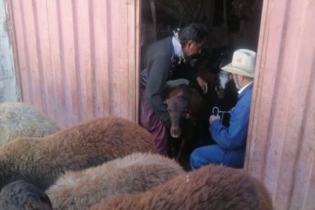 در برگزاری انتخابات نباید حق هیچ فرد و حزبی ضایع شود