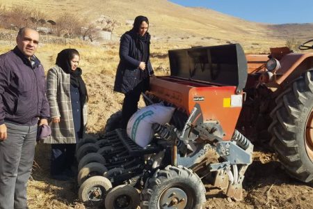 گام تازه اسکو برای جهش تولید در دیمزارها؛ پایش میدانی کشت گندم «هشترود» در روستای کهنمو
